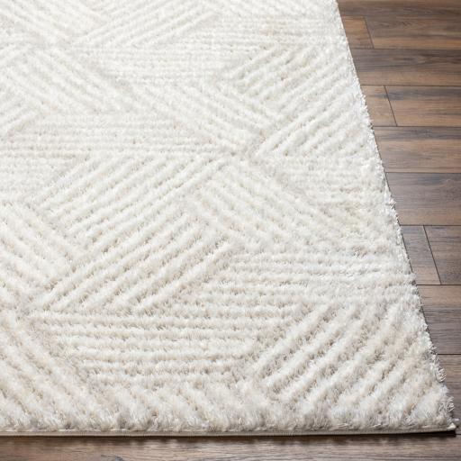 Surya Cloudy Shag CDG-2319 Light Beige Off-White 5'3" x 7' Rug