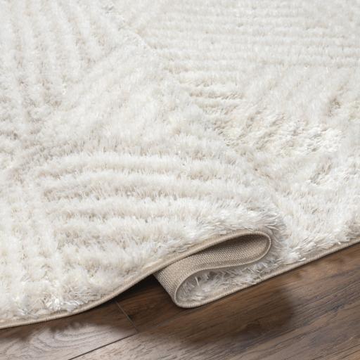 Surya Cloudy Shag CDG-2319 Light Beige Off-White 5'3" x 7' Rug