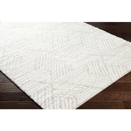 Surya Cloudy Shag CDG-2319 Light Beige Off-White 5'3" x 7' Rug