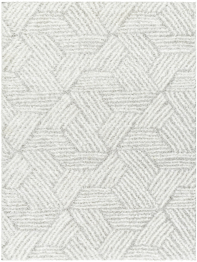 Surya Cloudy Shag CDG-2320 Gray Off-White 5'3" x 7' Rug