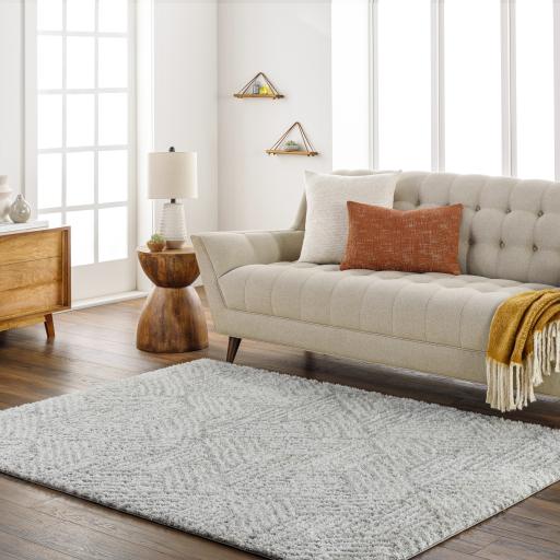 Surya Cloudy Shag CDG-2320 Gray Off-White 5'3" x 7' Rug