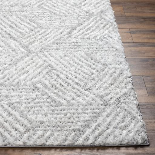 Surya Cloudy Shag CDG-2320 Gray Off-White 5'3" x 7' Rug