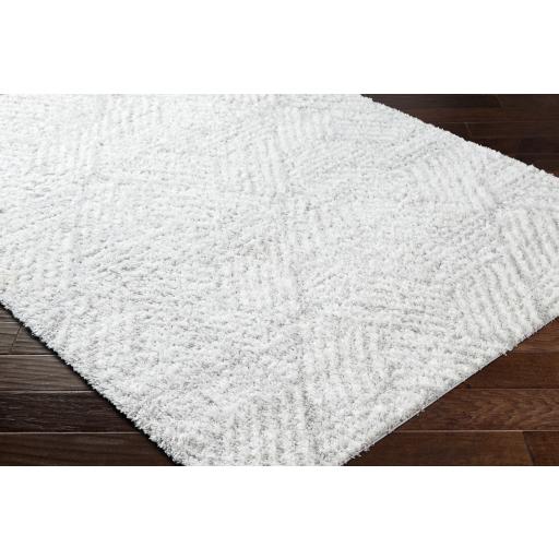 Surya Cloudy Shag CDG-2320 Gray Off-White 5'3" x 7' Rug