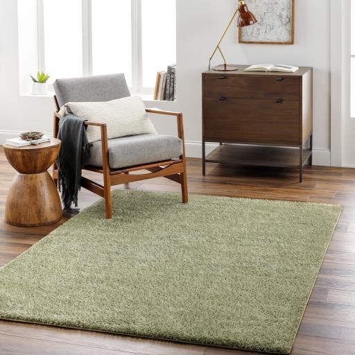 Surya Cloudy Shag CDG-2322 Grass Green 5'3" x 7' Rug