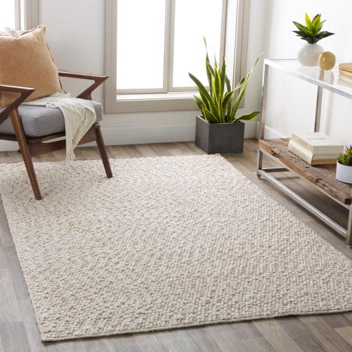 Surya Como COO-2301 Beige Ivory 12' x 15' Rug