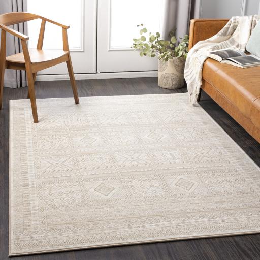 Surya Contempo CPO-3853 Brown Cream 2'7" x 7'10" Rug