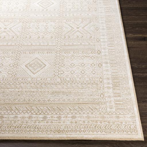 Surya Contempo CPO-3853 Brown Cream 2'7" x 7'10" Rug