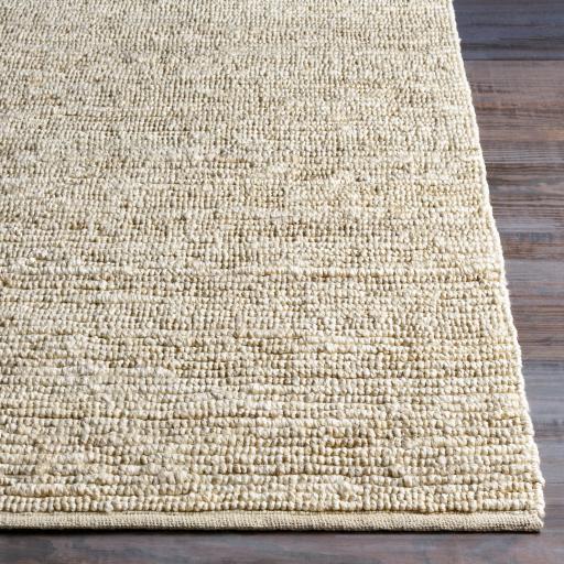 Surya Continental COT-1930 Ivory 2' x 3' Rug