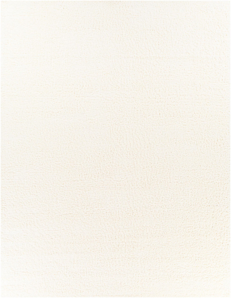 Surya Deluxe Shag DXS-2300 White 2' x 2'11" Rug