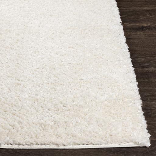 Surya Deluxe Shag DXS-2300 White 2' x 2'11" Rug