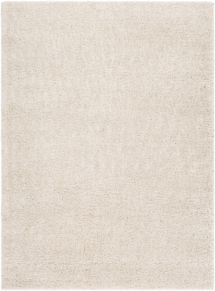 Surya Deluxe Shag DXS-2301 Light Beige 2' x 3' Rug