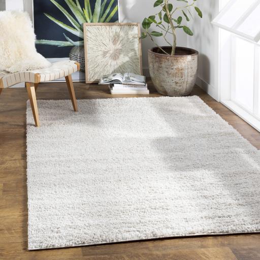 Surya Deluxe Shag DXS-2301 Light Beige 2' x 3' Rug