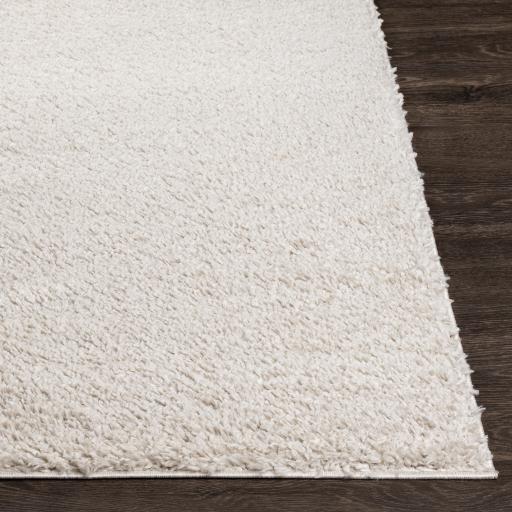 Surya Deluxe Shag DXS-2301 Light Beige 2' x 3' Rug