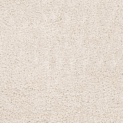 Surya Deluxe Shag DXS-2301 Light Beige 2' x 3' Rug