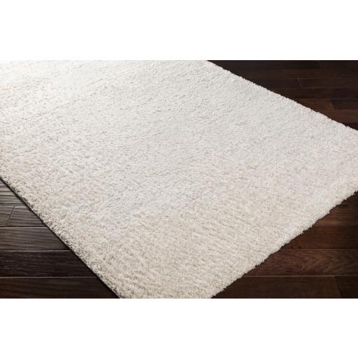 Surya Deluxe Shag DXS-2301 Light Beige 2' x 3' Rug