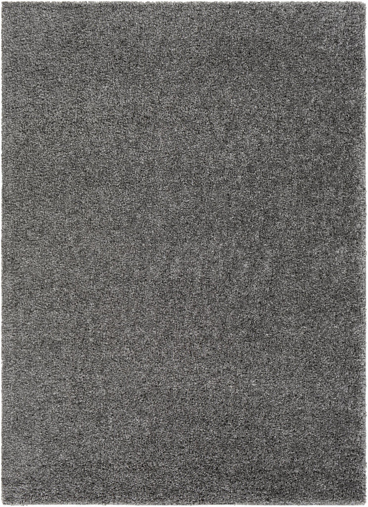 Surya Deluxe Shag DXS-2303 Charcoal 4'3" x 5'7" Rug