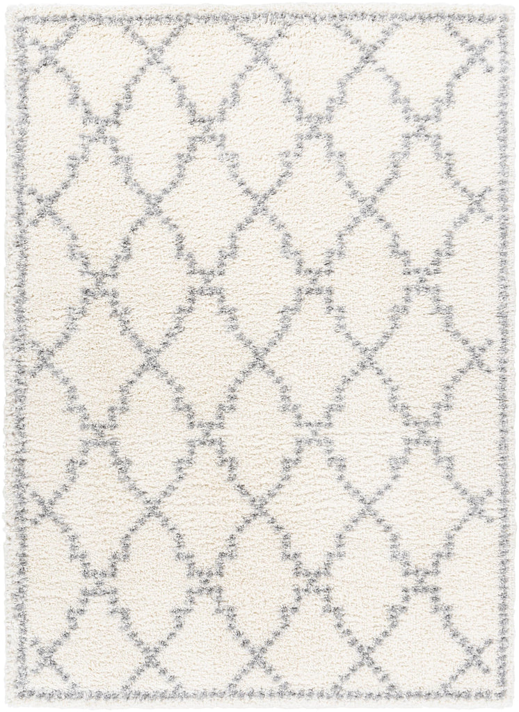 Surya Deluxe Shag DXS-2305 Medium Gray Off-White 6'7" x 9' Rug