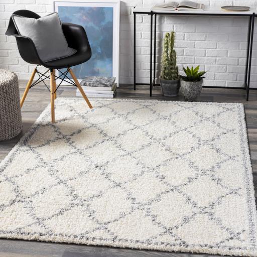 Surya Deluxe Shag DXS-2305 Medium Gray Off-White 6'7" x 9' Rug