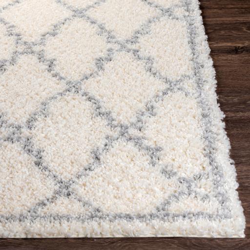 Surya Deluxe Shag DXS-2305 Medium Gray Off-White 6'7" x 9' Rug