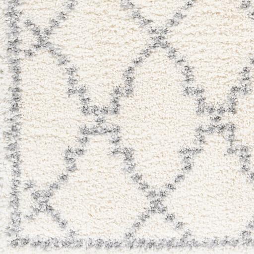 Surya Deluxe Shag DXS-2305 Medium Gray Off-White 6'7" x 9' Rug