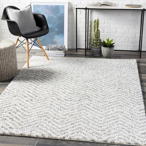 Surya Deluxe Shag DXS-2307 Medium Gray Off-White 2' x 3' Rug