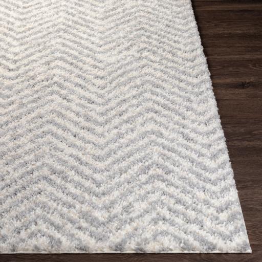 Surya Deluxe Shag DXS-2307 Medium Gray Off-White 2' x 3' Rug