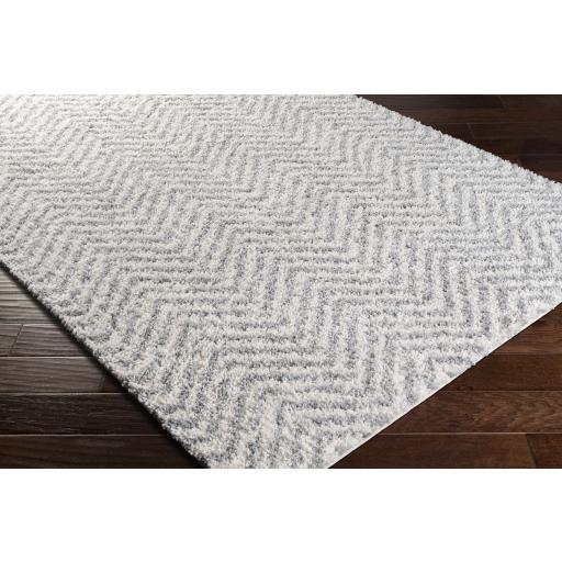 Surya Deluxe Shag DXS-2307 Medium Gray Off-White 2' x 3' Rug