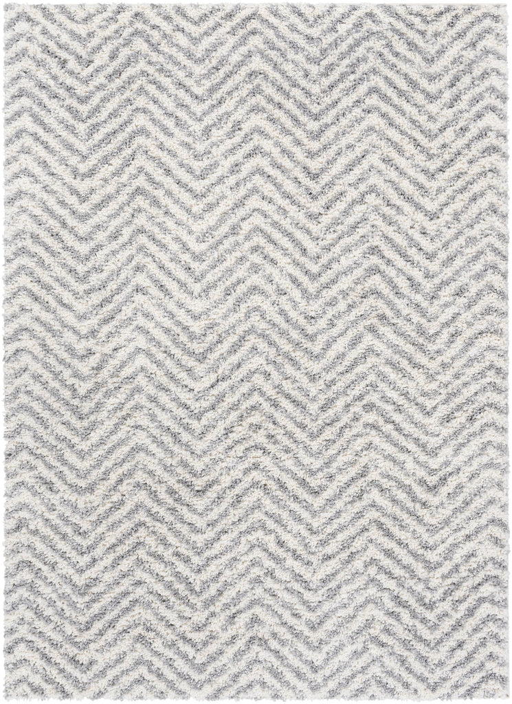 Surya Deluxe Shag DXS-2307 Medium Gray Off-White 7'10" x 10'3" Rug