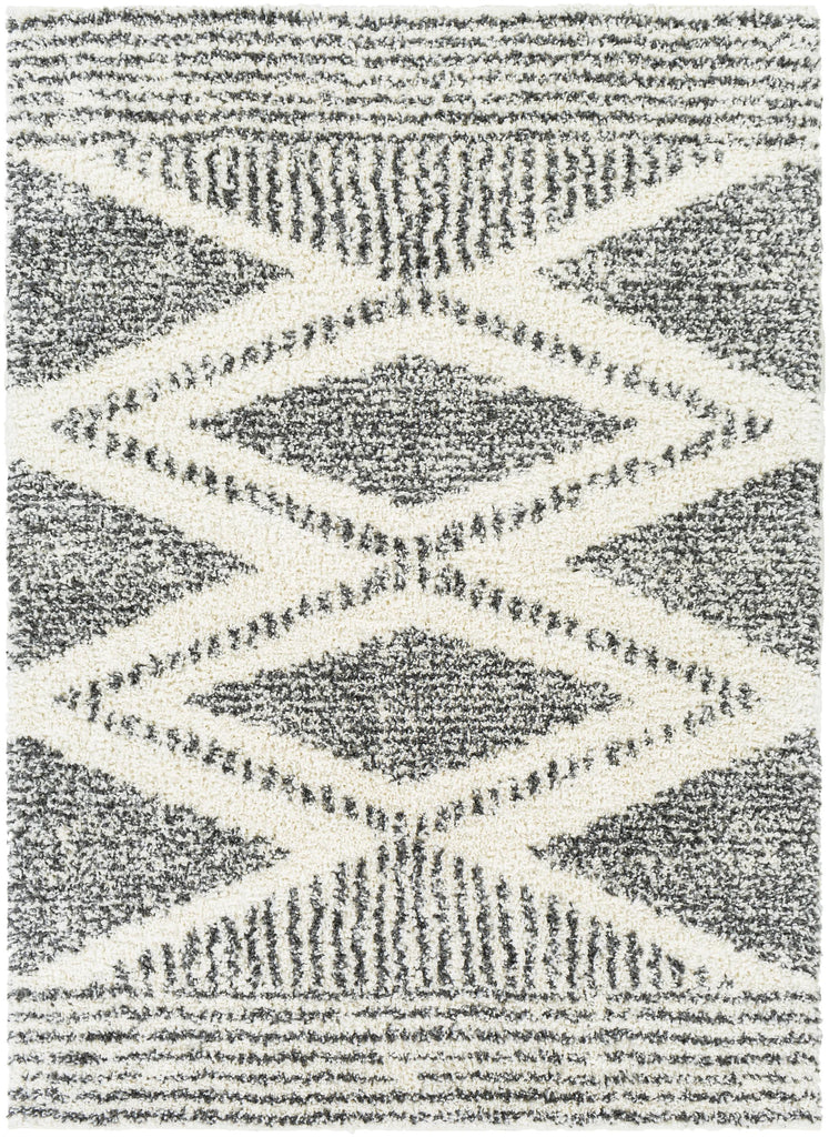 Surya Deluxe Shag DXS-2309 2' x 3' Rug