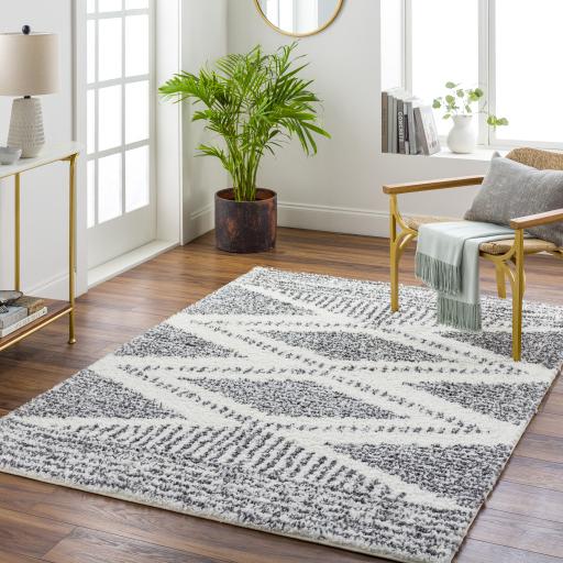 Surya Deluxe Shag DXS-2309 Charcoal Cream 2' x 2'11" Rug