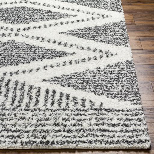 Surya Deluxe Shag DXS-2309 Charcoal Cream 2' x 2'11" Rug