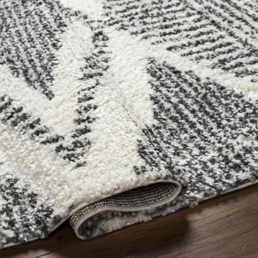 Surya Deluxe Shag DXS-2309 Charcoal Cream 2' x 2'11" Rug