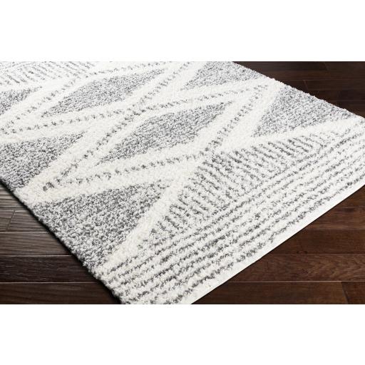 Surya Deluxe Shag DXS-2309 Charcoal Cream 2' x 2'11" Rug