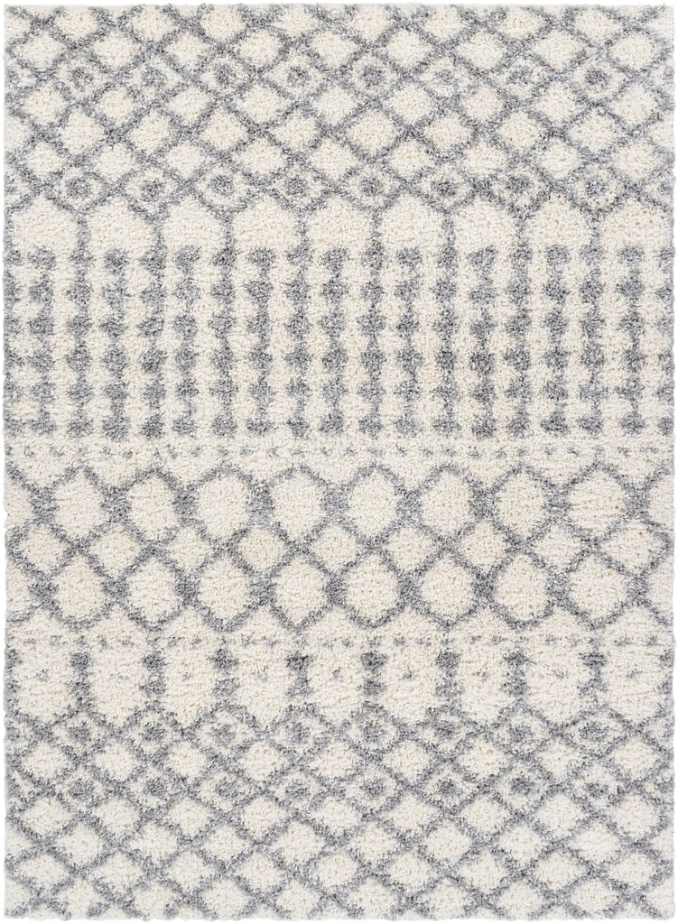 Surya Deluxe Shag DXS-2312 Medium Gray Off-White 5'3" x 7'3" Rug