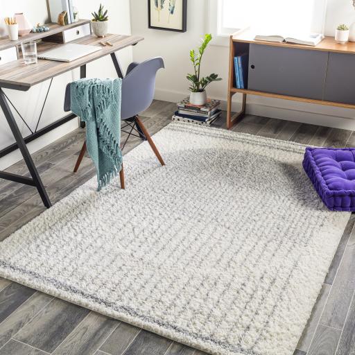 Surya Deluxe Shag DXS-2318 Cream Light Gray 5'3" x 7'3" Rug