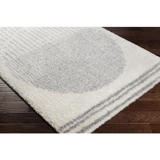 Surya Deluxe Shag DXS-2318 Cream Light Gray 5'3" x 7'3" Rug