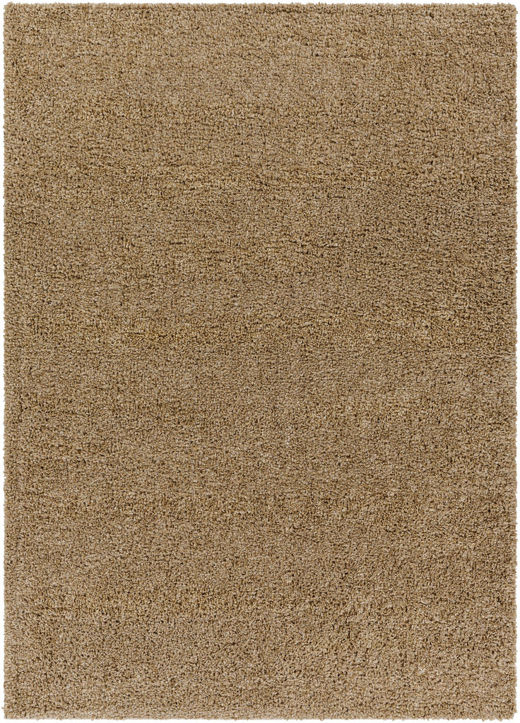 Surya Deluxe Shag DXS-2321 Medium Brown 2' x 3' Rug