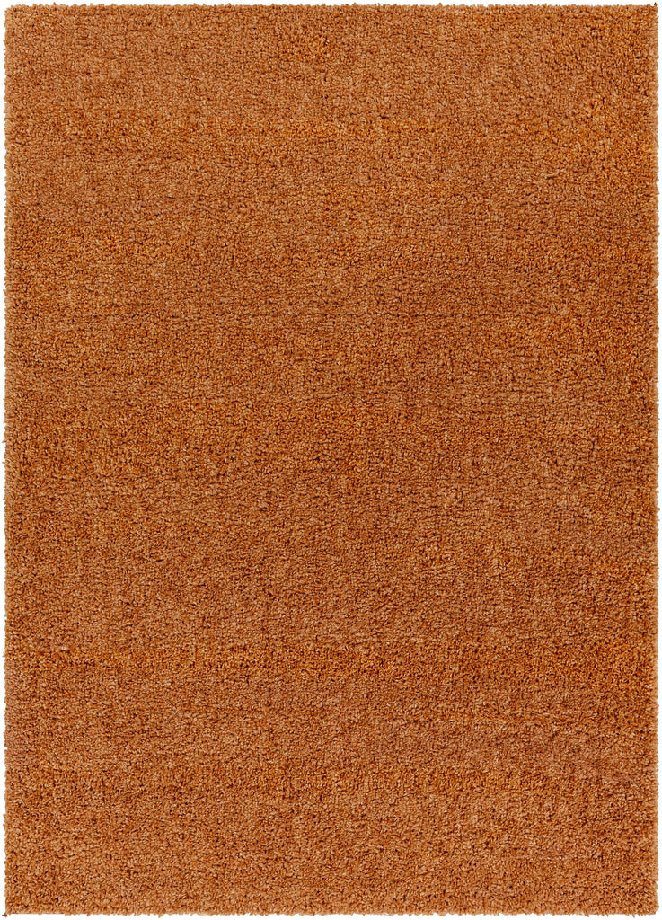 Surya Deluxe Shag DXS-2322 Burnt Orange 2' x 3' Rug