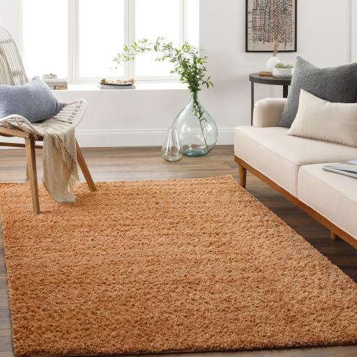 Surya Deluxe Shag DXS-2322 Burnt Orange 2' x 3' Rug