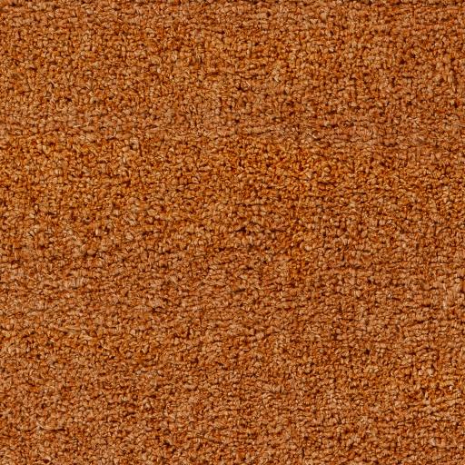 Surya Deluxe Shag DXS-2322 Burnt Orange 2' x 3' Rug