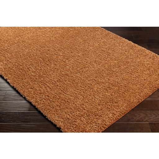 Surya Deluxe Shag DXS-2322 Burnt Orange 2' x 3' Rug