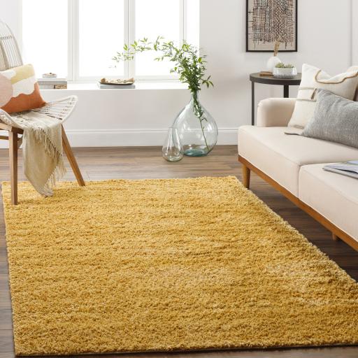 Surya Deluxe Shag DXS-2323 Mustard 2' x 3' Rug