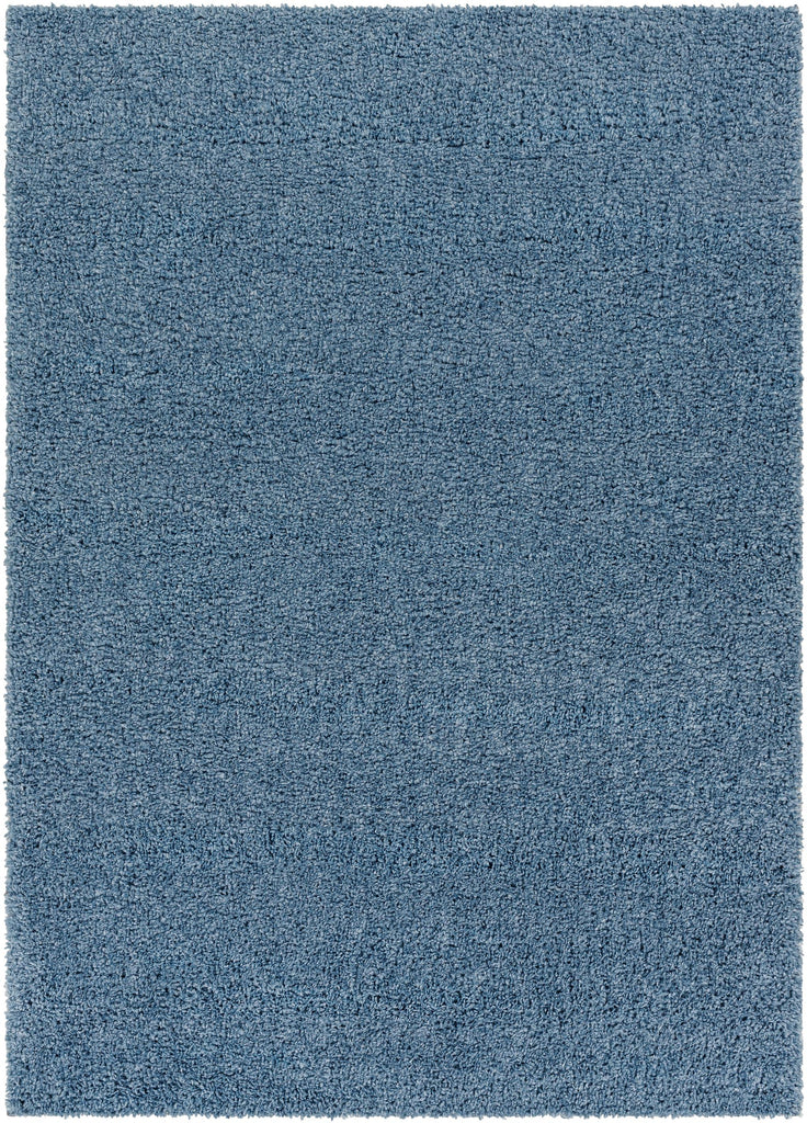 Surya Deluxe Shag DXS-2325 Blue 2' x 3' Rug