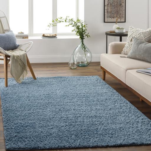 Surya Deluxe Shag DXS-2325 Blue 2' x 3' Rug