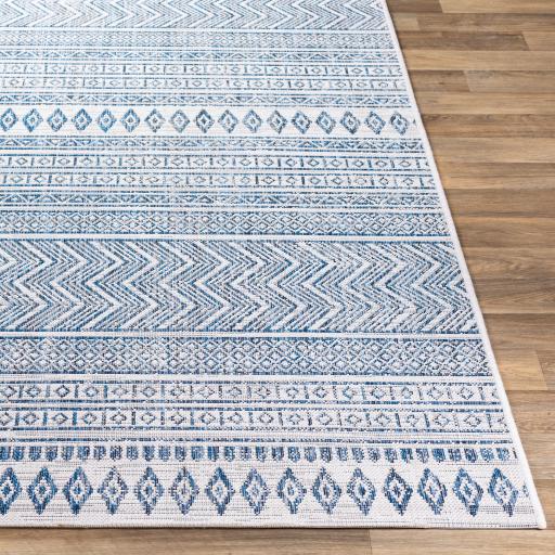 Surya Eagean EAG-2344 Blue Light Blue 10' x 13'11" Rug