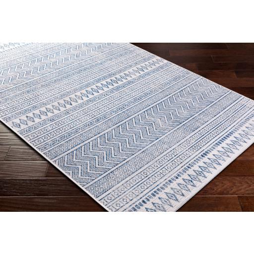 Surya Eagean EAG-2344 Blue Light Blue 10' x 13'11" Rug