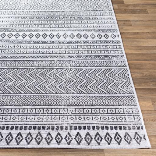 Surya Eagean EAG-2345 Black White 2' x 2'11" Rug