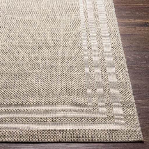 Surya Eagean EAG-2366 Gray Light Beige 10' x 13'11" Rug