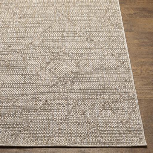 Surya Eagean EAG-2402 Brown Cream 6'7" Square Rug