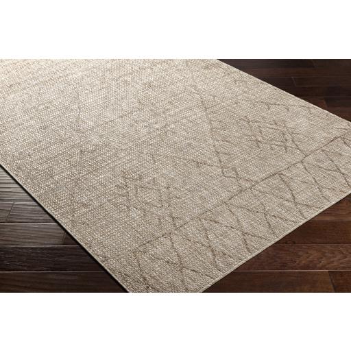 Surya Eagean EAG-2402 Brown Cream 6'7" Square Rug